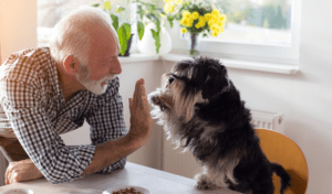a man giving high five to a dog