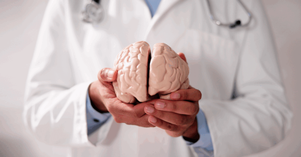 a doctor holding a model brain