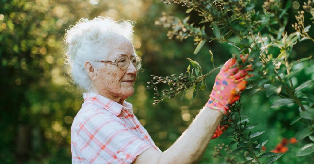alzheimer's care in tacoma
