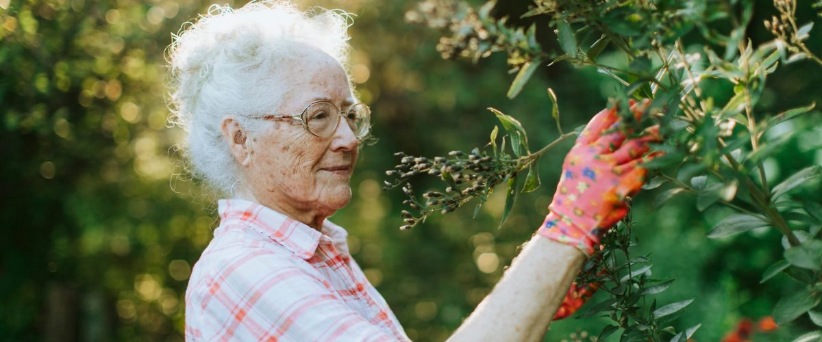 Alzheimer's care
