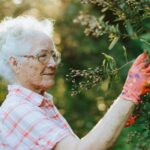 Alzheimer's care
