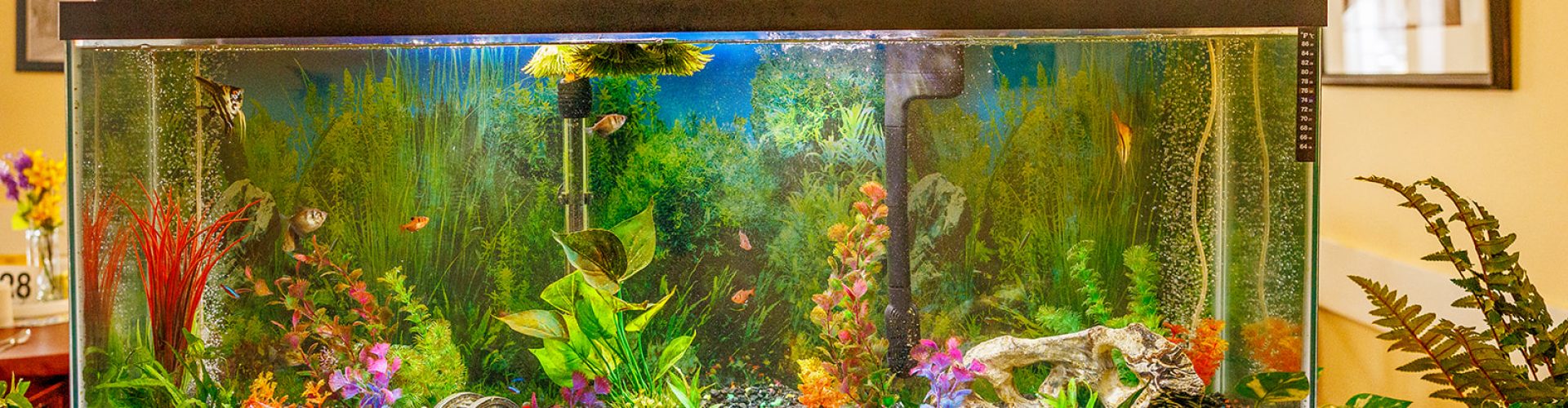 a fish tank with plants and flowers