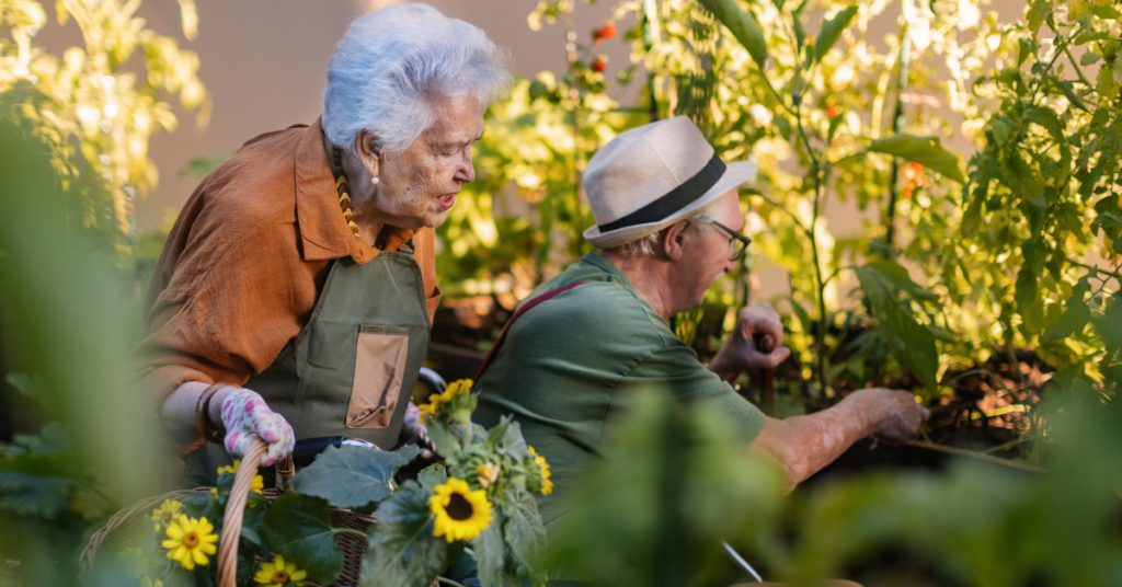 assisted living
