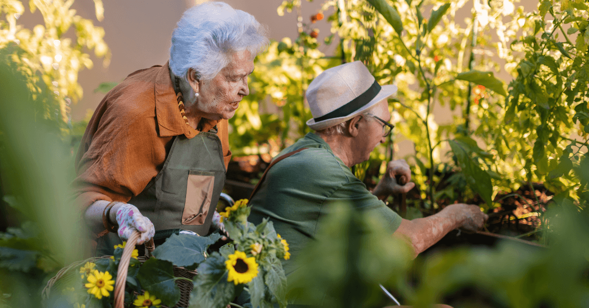 Assisted living