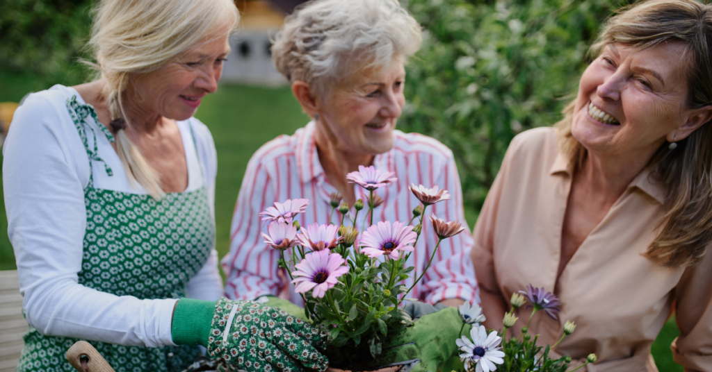 assisted living

